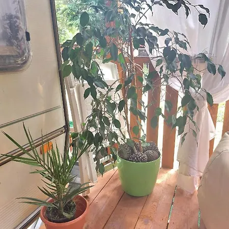 каравана Summer Time * Chernomorets