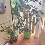 каравана Summer Time * צ'רנומורץ