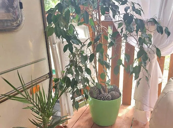 каравана Summer Time * Chernomorets